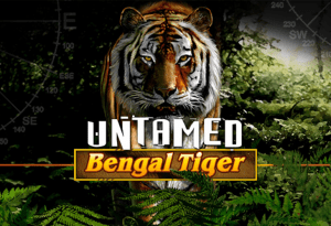 Have Friendship With Untamed: Bengal Tiger And Full Your Bag