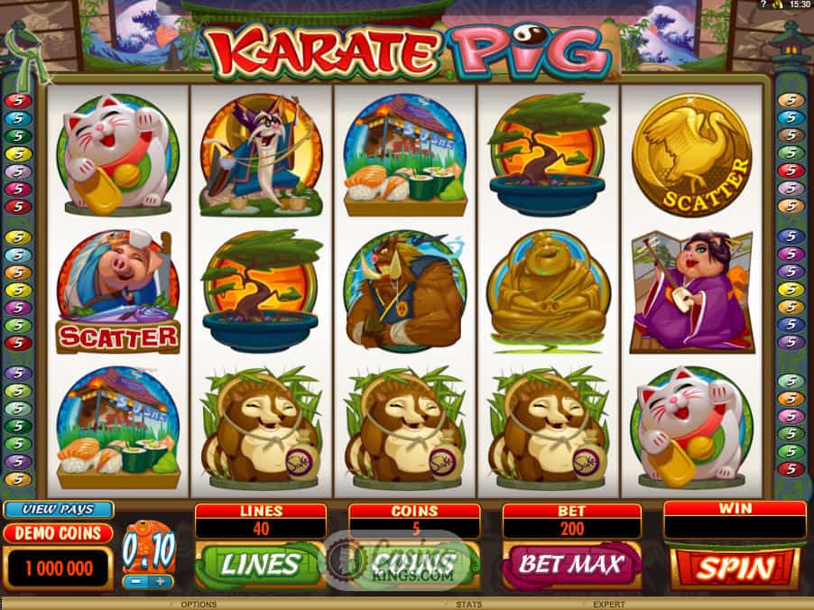 Get trained from Karate Pig